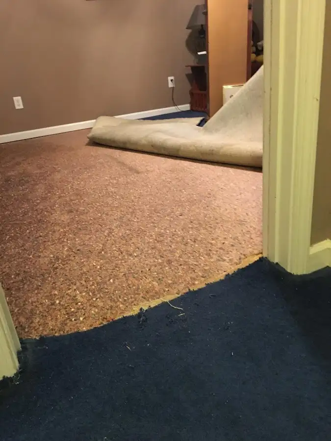 Carpet pad removal revealing water damage during Water Mitigation Services in Almont