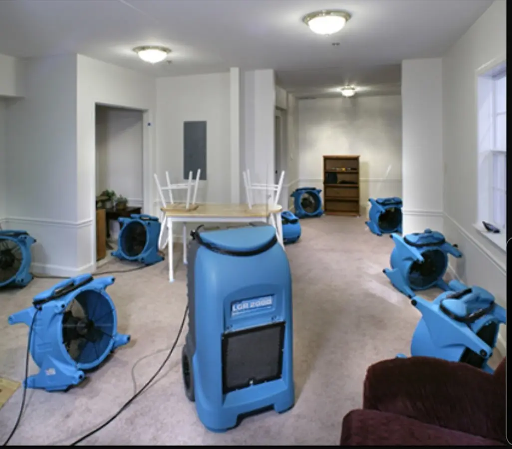 Air movers and dehumidifier setup for Water Extraction & Removal in Almont