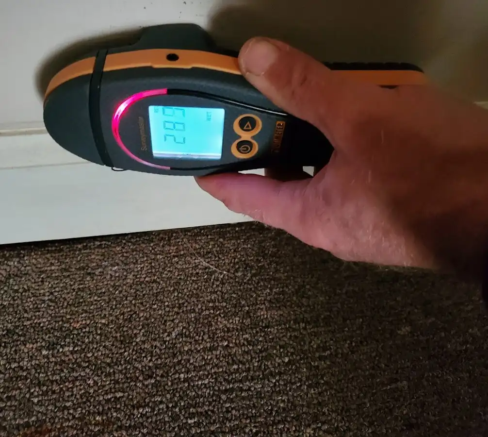 Moisture detection at baseboard during Sewage Cleanup & Sanitation in Almont